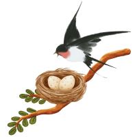 Yến Sào Cao Cấp