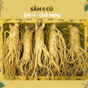 Nhân Sâm Tươi Hàn Quốc 6 Năm Tuổi Loại 5 Củ/Kg – Kích Thước Lý Tưởng, Bồi Bổ Thượng Hạng Cho Cả Gia Đình