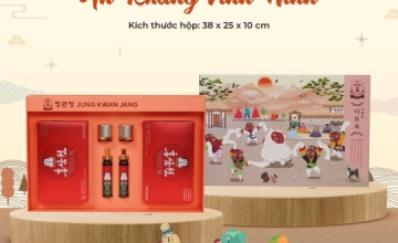 Xu Hướng Quà Tặng Tết Bính Ngọ 2026: Đẳng Cấp Doanh Nghiệp Từ Những Set Quà Sức Khỏe Nhập Khẩu